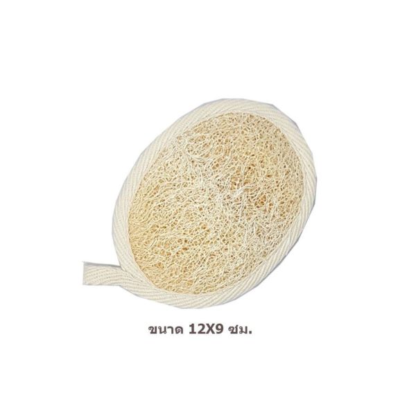 DARU Loofah ดารุ ใยบวบแผ่นสำหรับขัดผิวขนาด M จำนวน 1 ชิ้น